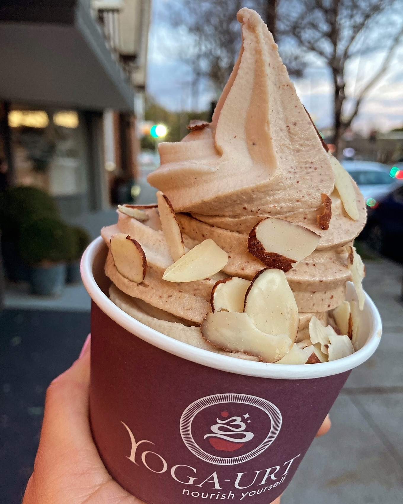 pecan praline yoga-urt